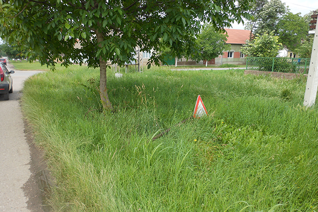 DSCN9211