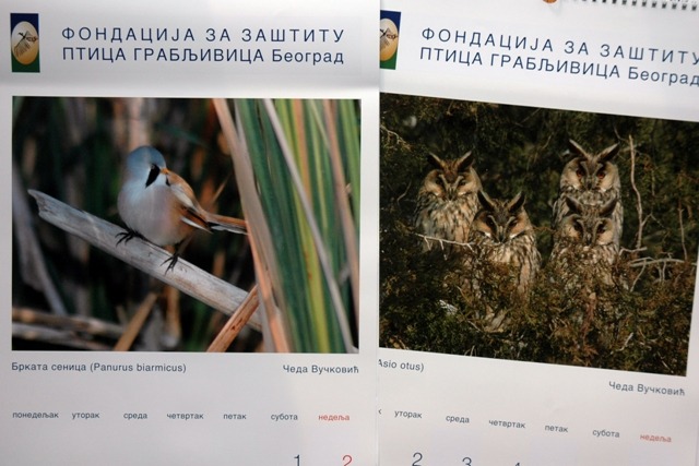 Publikum kalendar za 2014. godinu: NOVO PRIZNANJE ZA NAŠEG FOTOREPORTERA