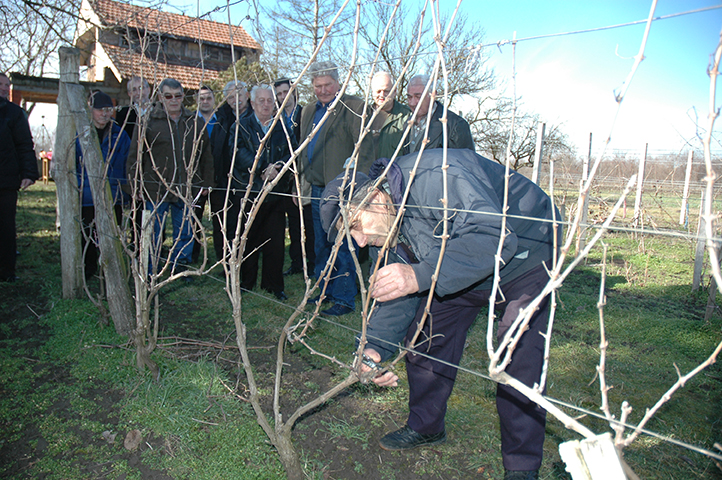 Udruženje vinogradara i vinara „Pudar“ Sakule:  SAKULSKI VINARI OBELEŽILI ESNAFSKU SLAVU