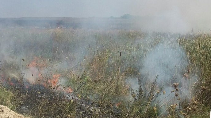 Požar u ataru:  TRSKA NA PUSTARI PONOVO GORELA