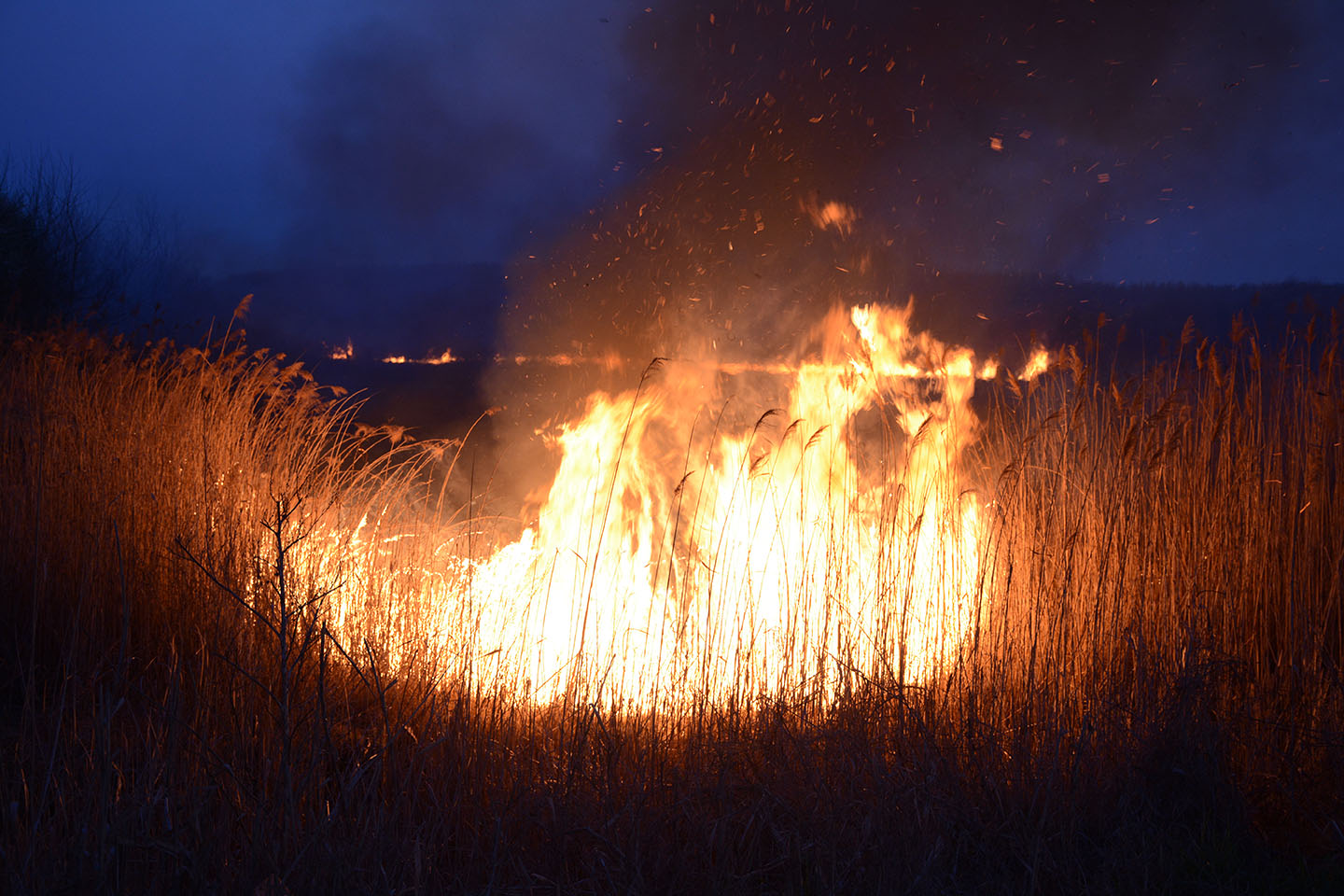 Požar na Gajgeru:  GORELA TRSKA KOD MALOG GROBLJA U OPOVU