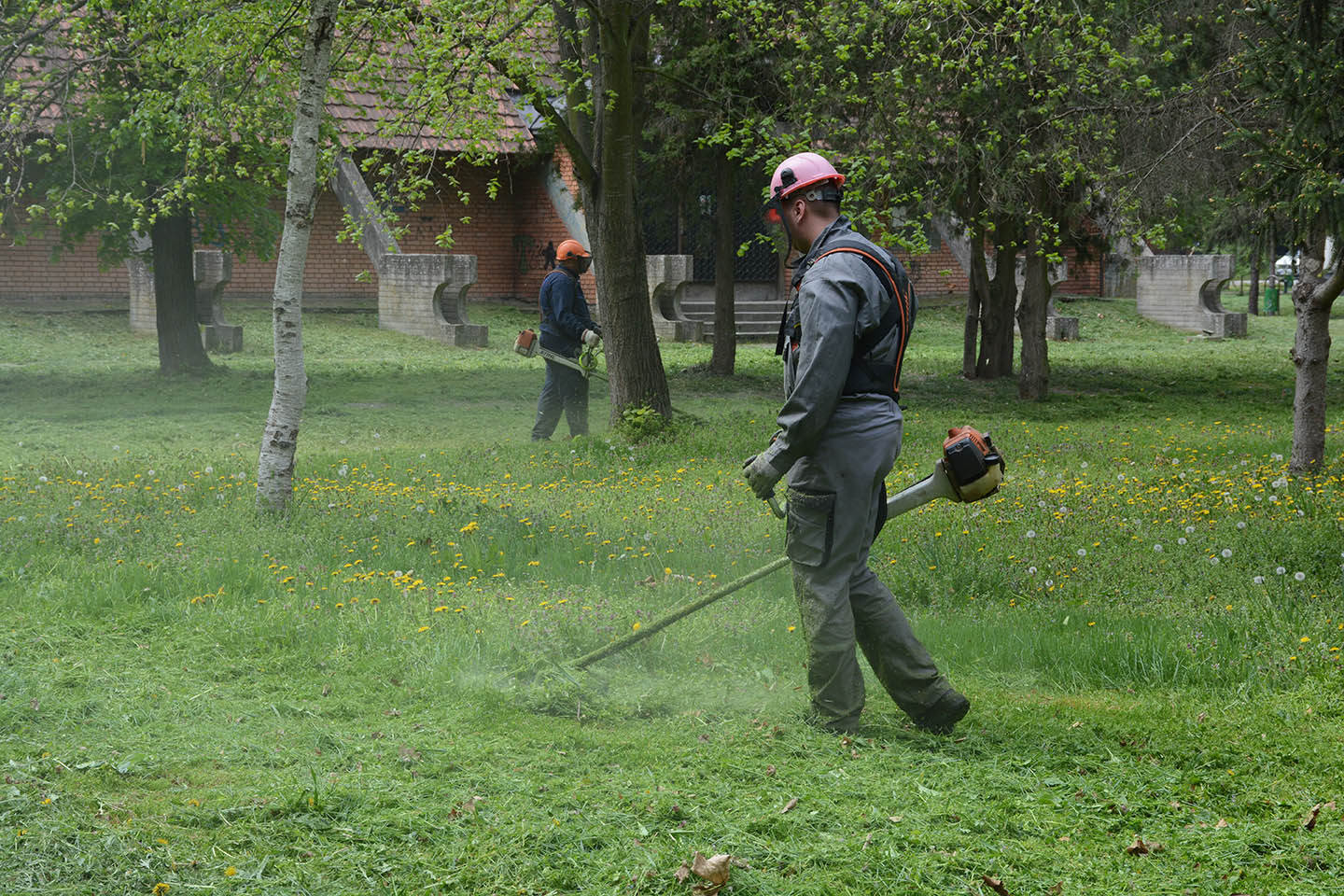 Služba zelenila JP Mladost: SEZONSKO KOŠENJE I UREĐENJE PARKOVA