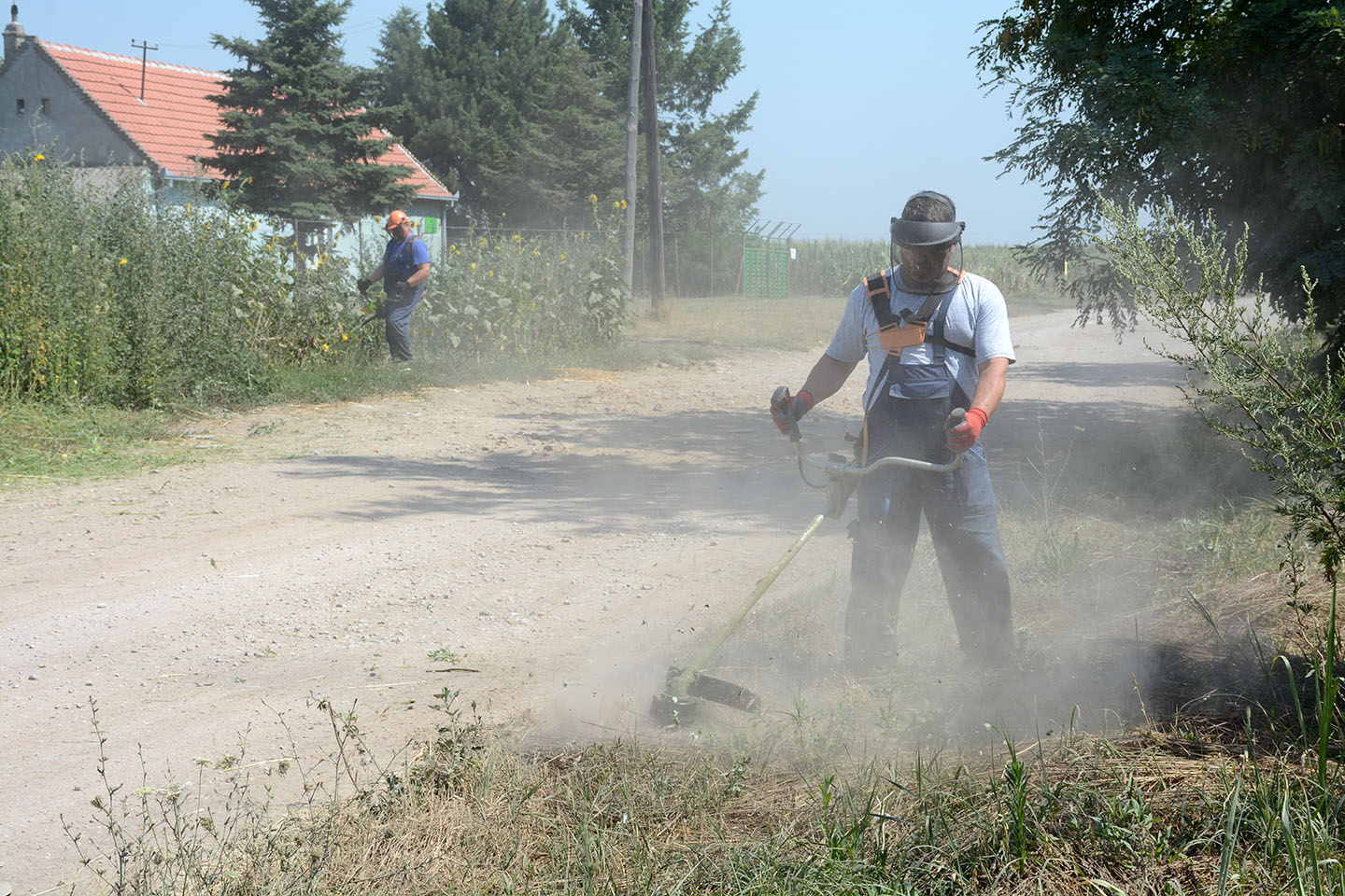 Zaštita životne sredine:  U TOKU JE REDOVNO SEZONSKO SUZBIJANJE AMBROZIJE