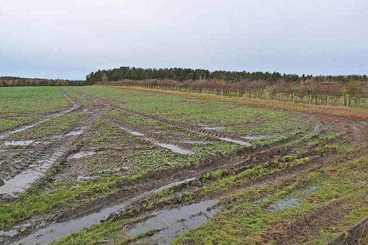 Vode Vojvodine: Počinje dostava rešenja za naknadu za odvodnjavanje