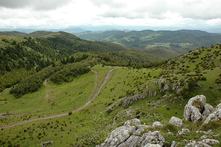 Dobro jutro:  POPODNE KIŠA, MOGUĆA GRMLJAVINA