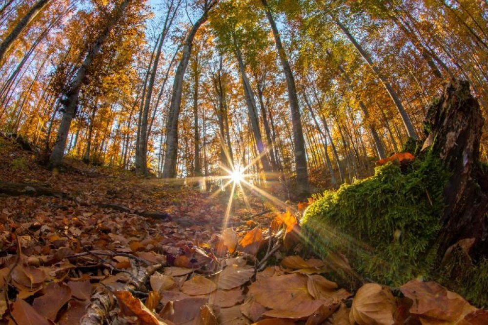 Dobro jutro:  DANAS VEDRO I SUNČANO