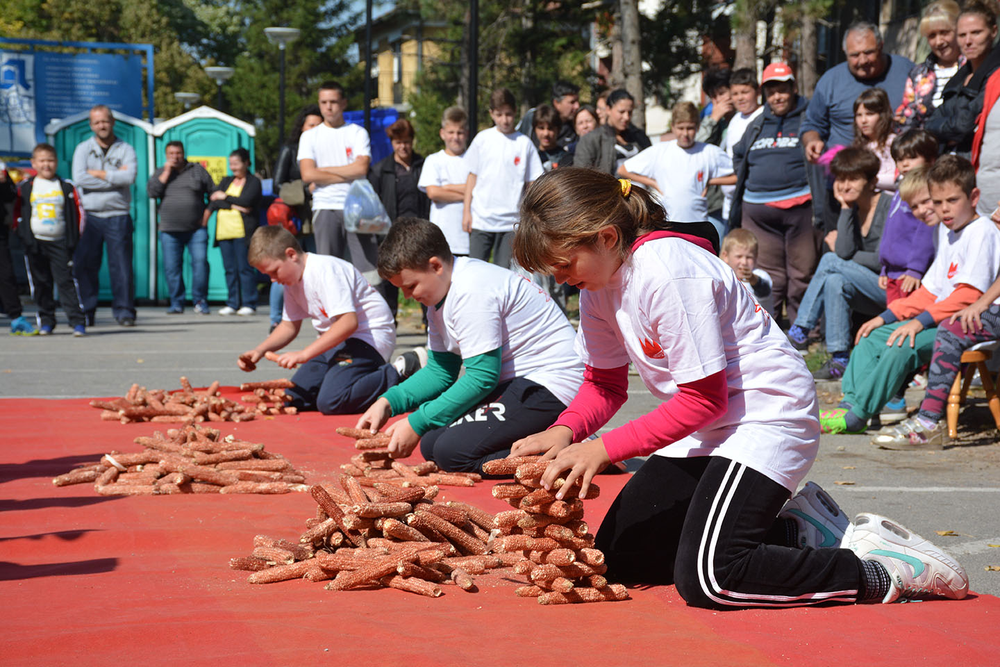 Udruženje „Lala“ poziva: SUTRA NA PROGRAMU 9. LUDAJA FEST