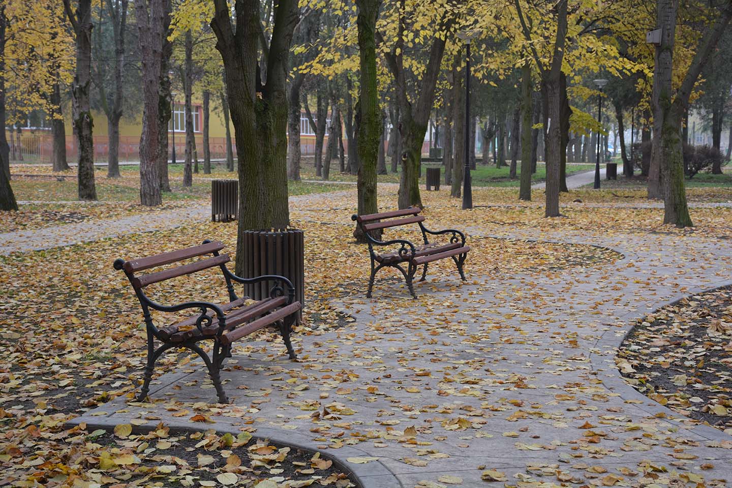 Dobro jutro:  OBLAČNO JUTRO, RAZVEDRAVANJE TOKOM DANA