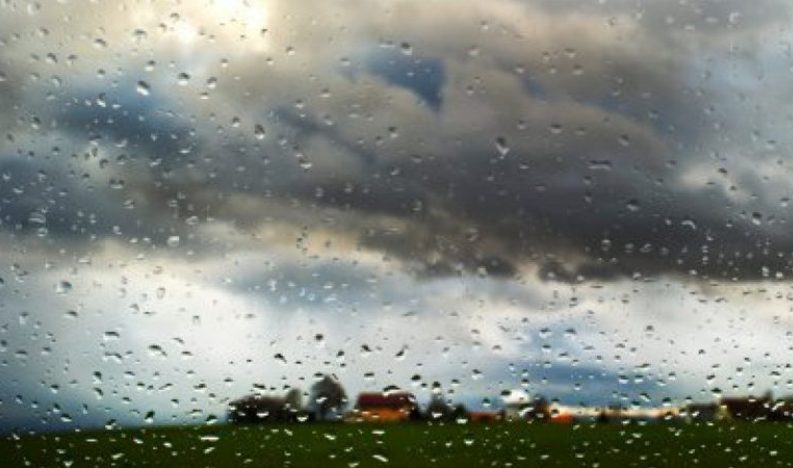 Vremenske prilike: Jako nevreme u Srbiji – vetar čupao drveće u Vojvodini, RHMZ izdao novo upozorenje