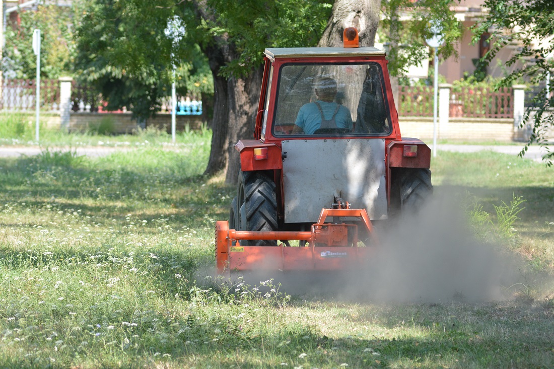 JP „Mladost“ Opovo:  SEZONSKO KOŠENJE U SAKULAMA