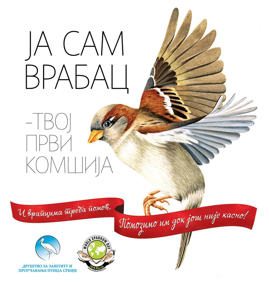 Društvo za zaštitu i proučavanje ptica Srbije: DANAS JE MEĐUNARODNI DAN VRABACA