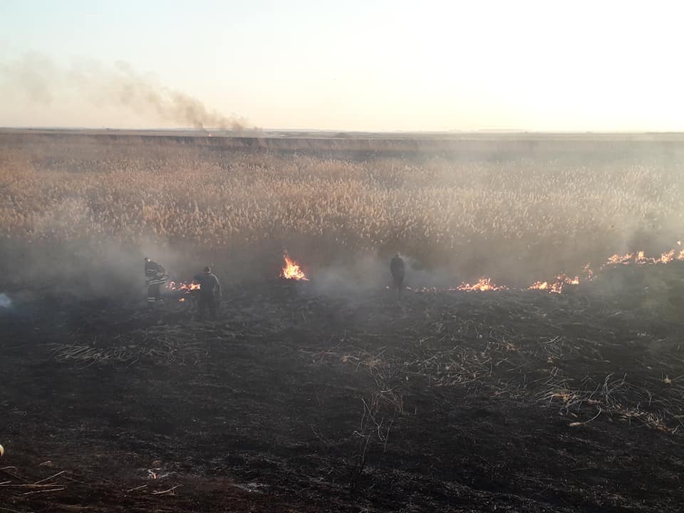 Požar na Pečenoj slatini u Barandi: IZGORELO 300 HEKTARA LOVIŠTA