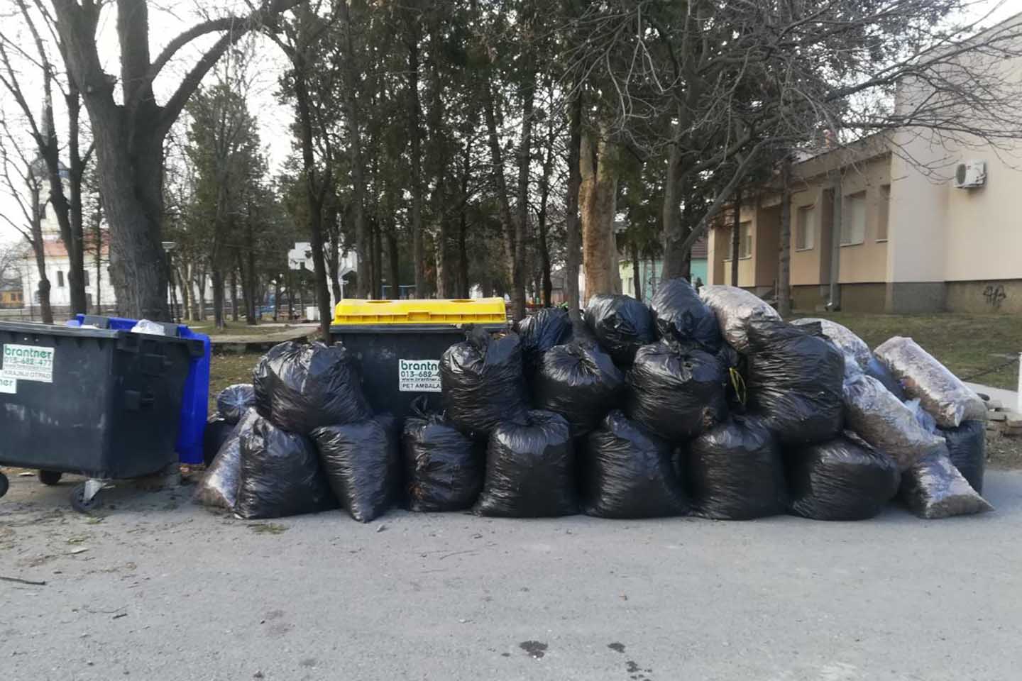 Uređenje sefkerinskog parka: OČIŠĆEN PARK, POSAĐENO 28 SADNICA