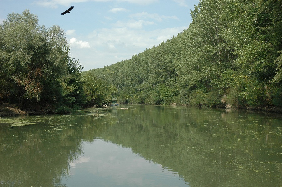 RRA Južni Banat i Banatski univerzitet „Kralj Mihaj Prvi Rumunski”:  Analiza zemljišta i voda u Južnom Banatu