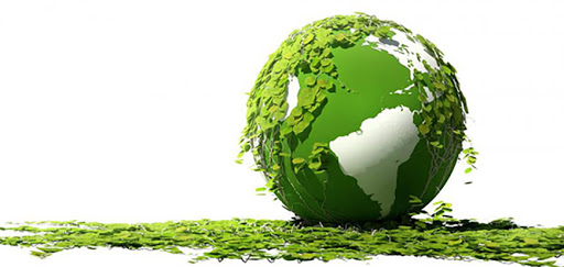 Inspekcija za zaštitu životne sredine: SVETSKI DAN ZAŠTITE ŽIVOTNE SREDINE – „VREME JE ZA PRIRODU“