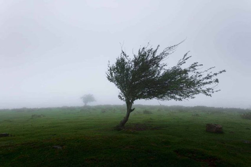 Vremenske prilike: RHMZ upozorava na olujnu košavu, u Banatu narandžasti meteo-alarm