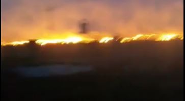 Požar u Sefkerinu: Gorela utrina u neposrednoj blizini kuća (video)