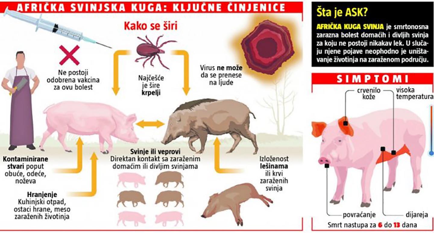 Veterinarska komora Srbije: Detektovanje novih žarišta afričke kuge svinja