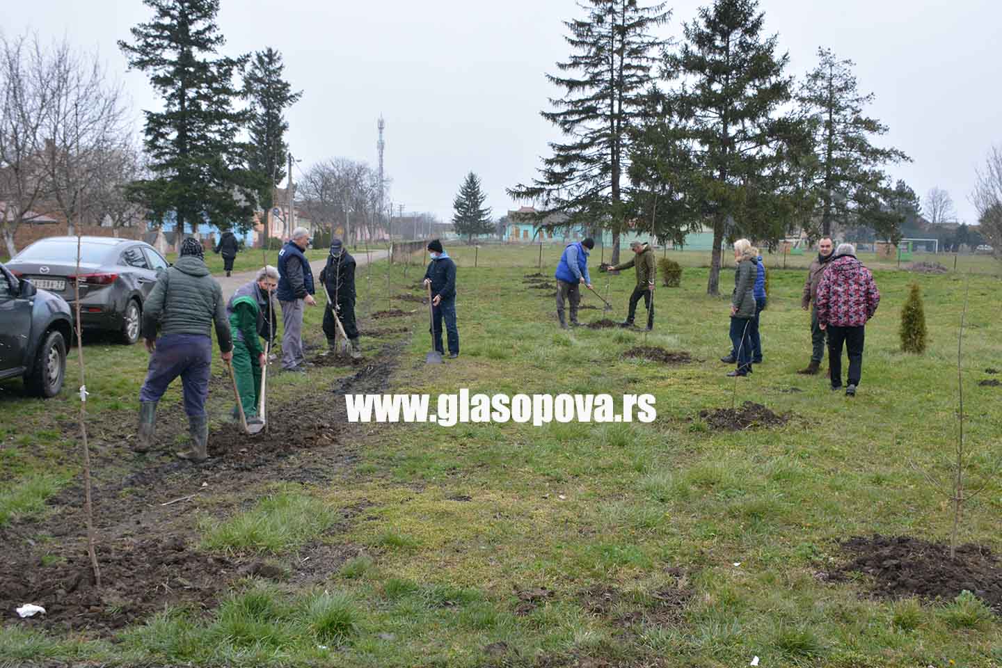 Očuvanje i unapređenje zelenila na javnim površinama: Posađeno 183 sadnica u sva četiri opštinska mesta (video)