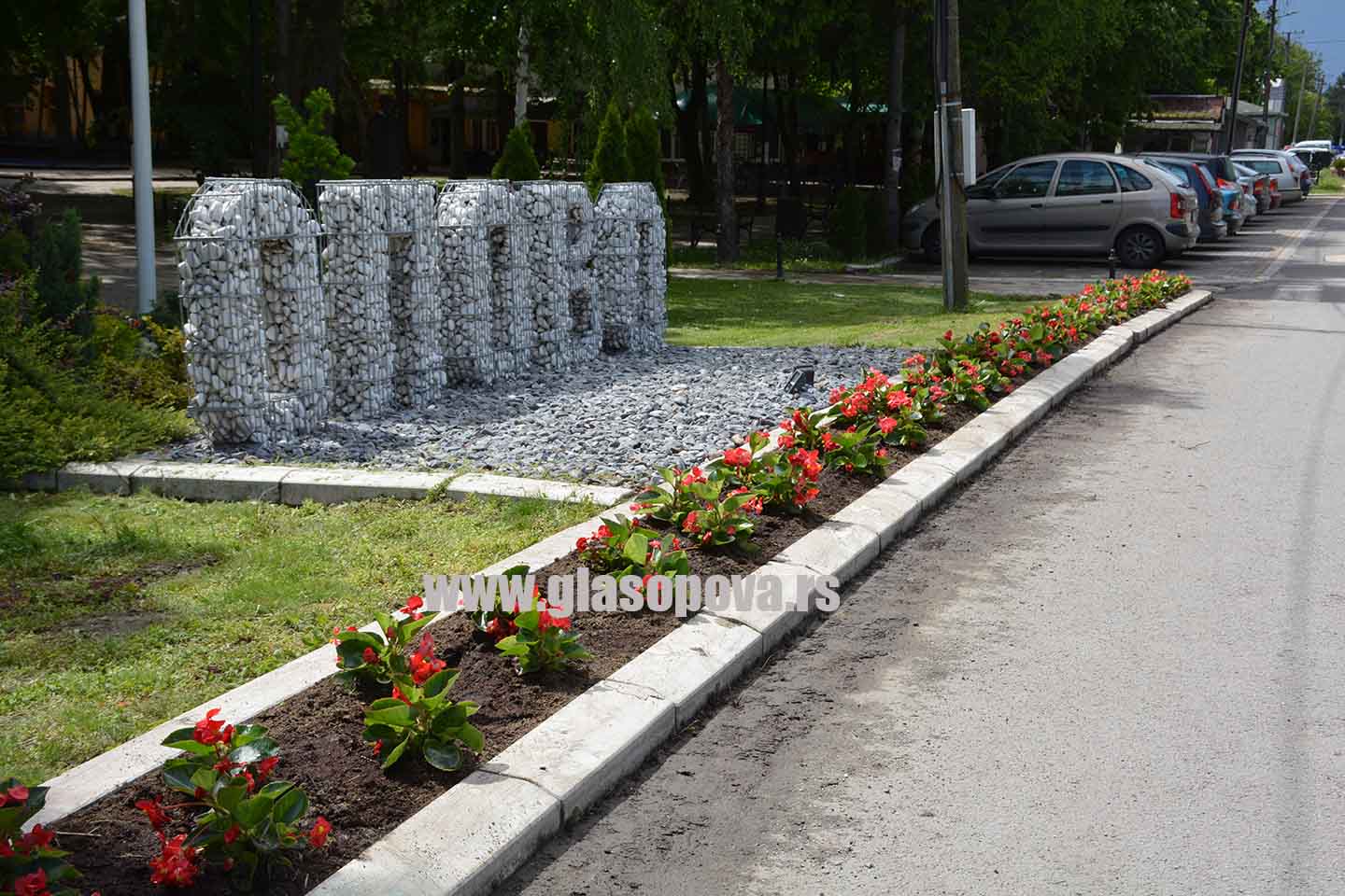 Za svečaniji Dan opštine Opovo: Posađeno 80 sadnica cveća