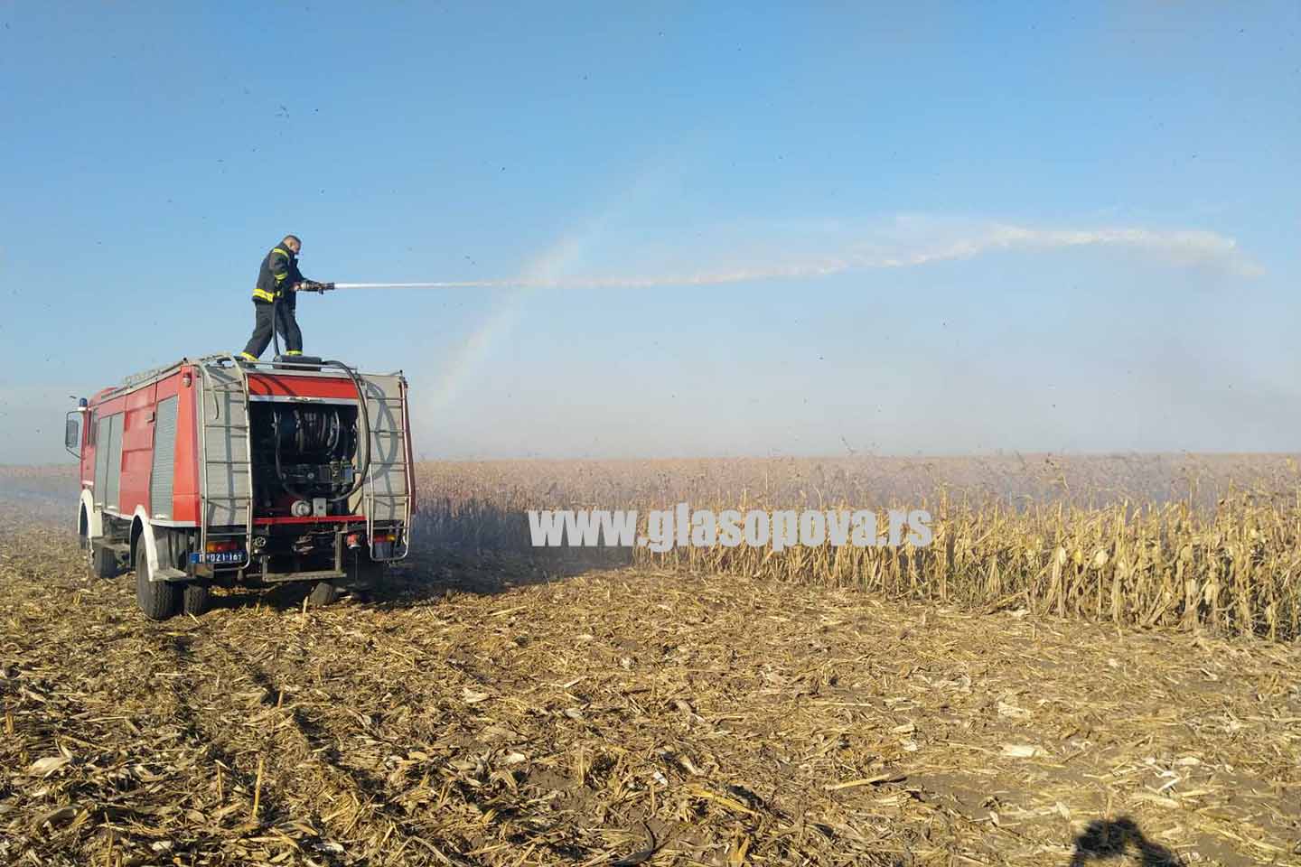 Požar u opovačkom ataru: Gori kukuruz na lokaciji Proletnje