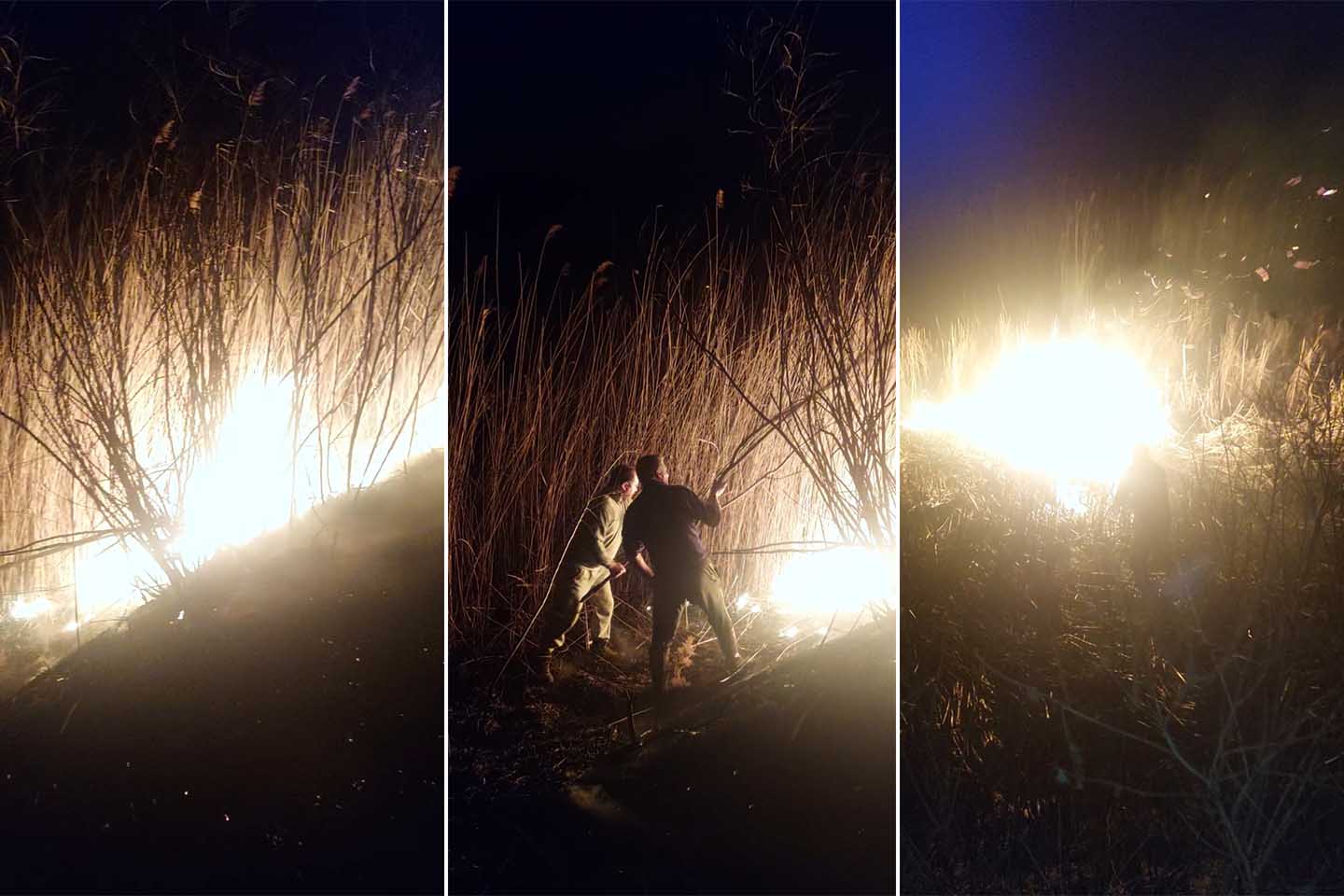 Požar u lovištu: Baranđanski lovci gasili vatru