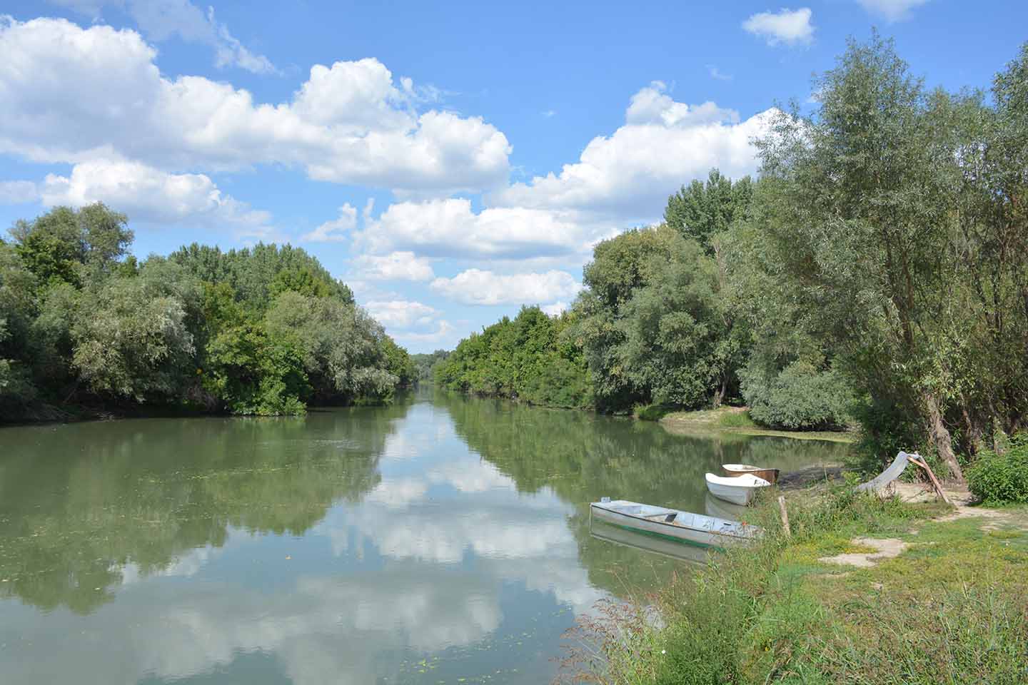 Pokrajinski zavod za zaštitu prirode: Međunarodni dan reka