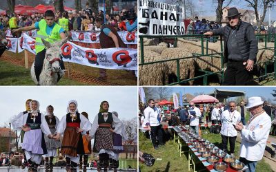 Sakule: Ovčarski dan u subotu 1. aprila
