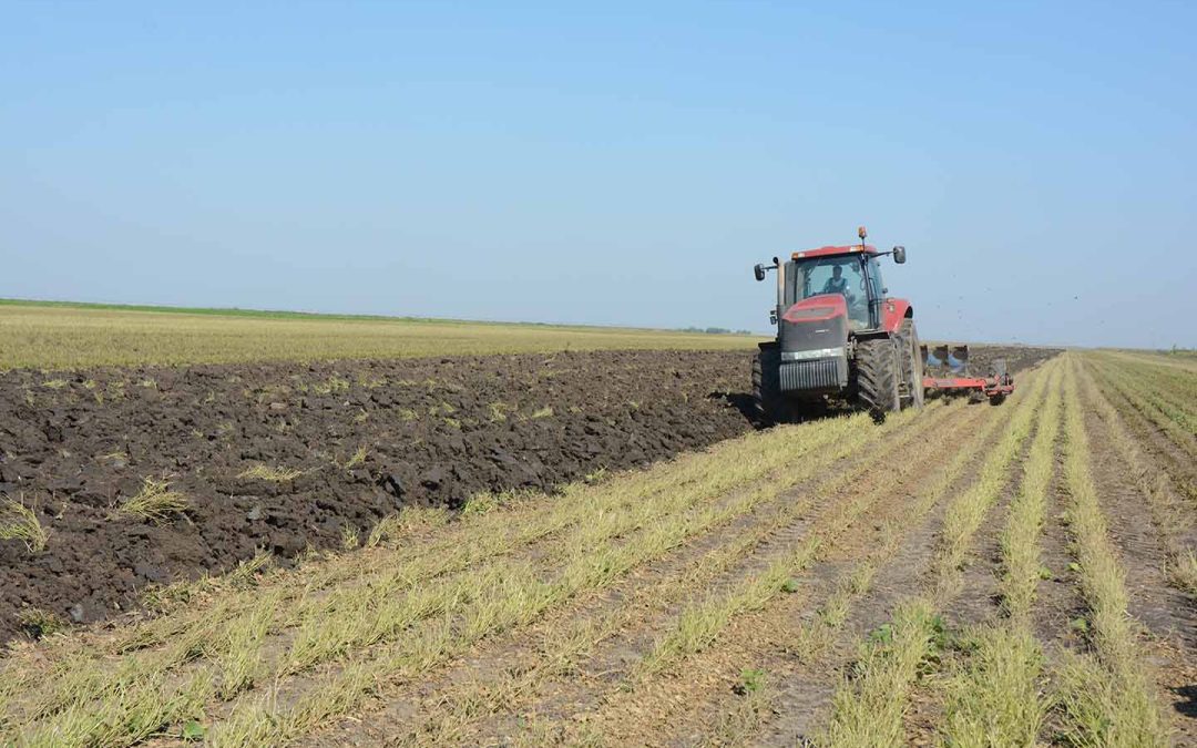 Podrška Pokrajinske vlade malim poljoprivrednicima kroz Agrobiznis inkubator