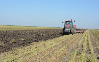 Podrška Pokrajinske vlade malim poljoprivrednicima kroz Agrobiznis inkubator