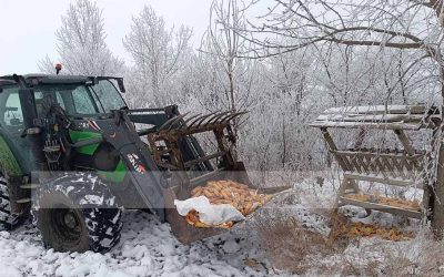 Lovačko društvo Ždral: Zimska prihrana divljači u Sakulama