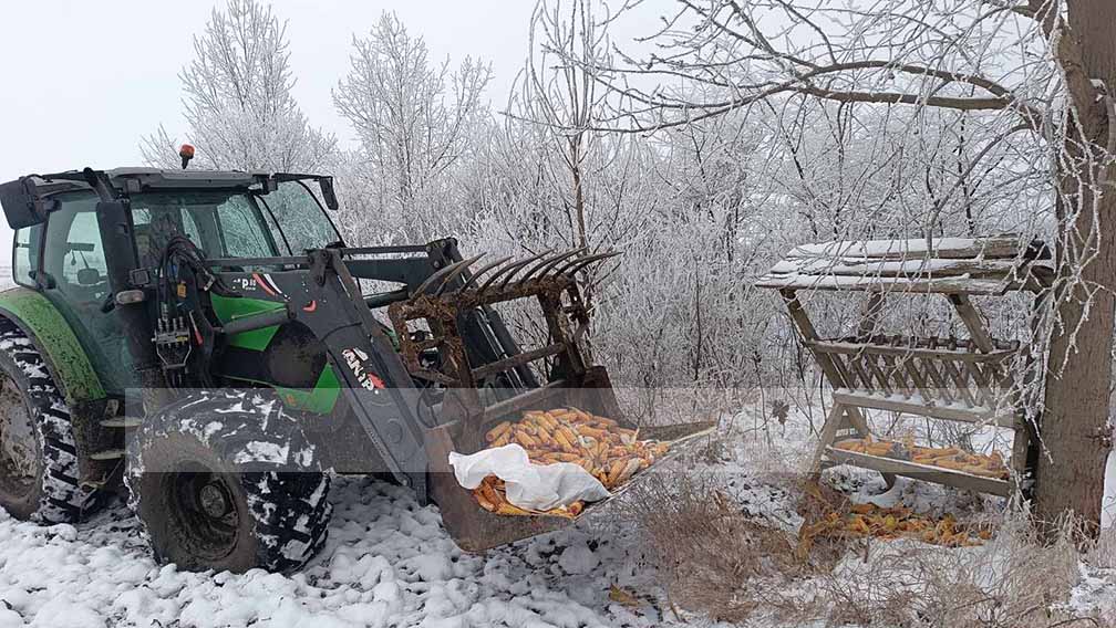 Lovačko društvo Ždral: Zimska prihrana divljači u Sakulama