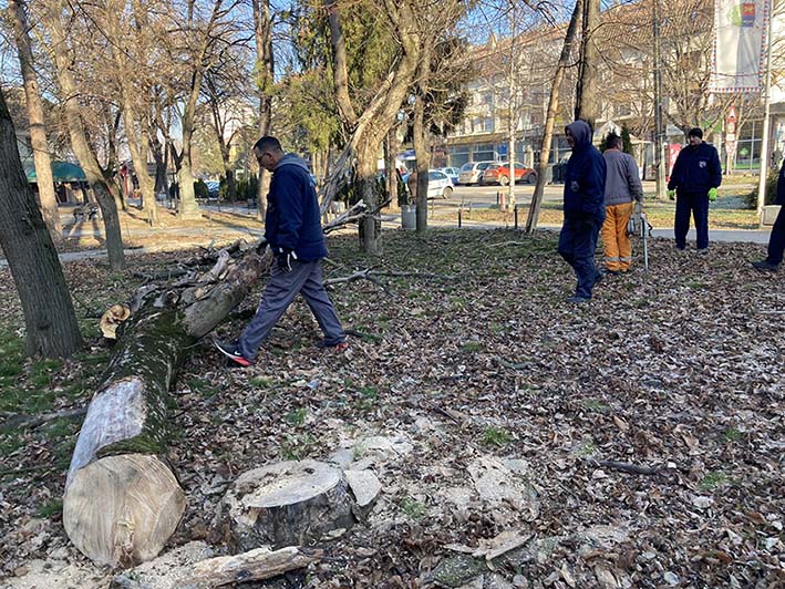 Uklonjena pojedina osušena stabla iz parka u Opovu