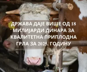 Objavljen Javni poziv za kvalitetna priplodna grla