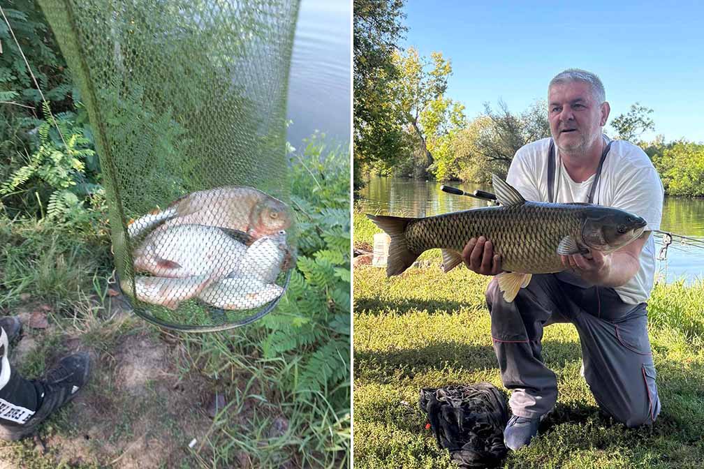 Ribolovački savez Vojvodine: Nedeljni izveštaj za reku Tamiš