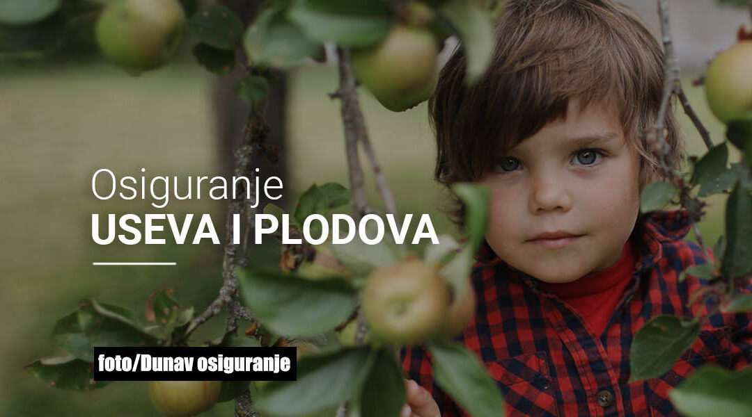 Dunav osiguranje: Osiguranje u poljoprivredi niže od 15 odsto