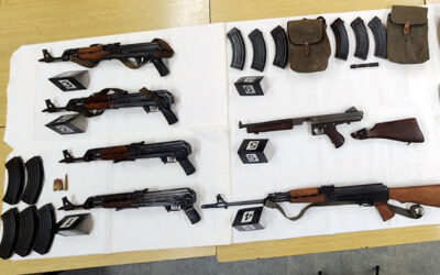 Kod muškarca iz okoline Opova zaplenjena velika količina oružja