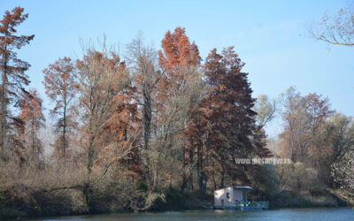 Danas oblačno i vetrovito ali i toplo za ovo doba godine, uveče naoblačenje i pad temperature