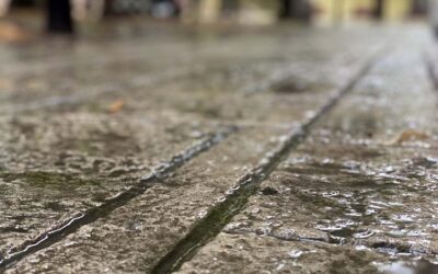 Oblačno sa kišom, vetrovito i osetno hladnije, uveče susnežica i sneg