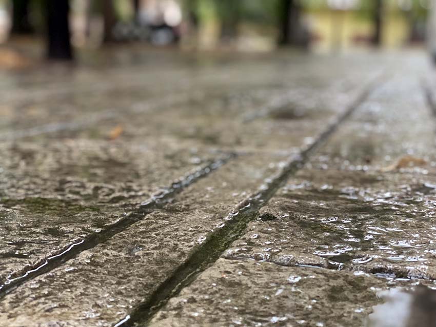 Danas maglovito i tmurno sa lokalnom pojavom slabe kiše