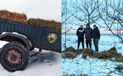 Akcija zimske prihrane u lovištu – LD „Fazan“ Opovo