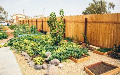 Samoodrživost domaćinstava u ruralnim i prigradskim sredinama