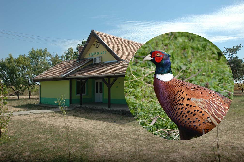 LD Fazan: U nedelju godišnja Skupština, opovački lovci pozivaju mlade koji su zainteresovani za lov i prirodu